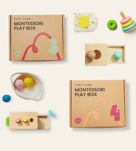 Tiny Land® Montessori Early Skills Baby Set（7–12 months）