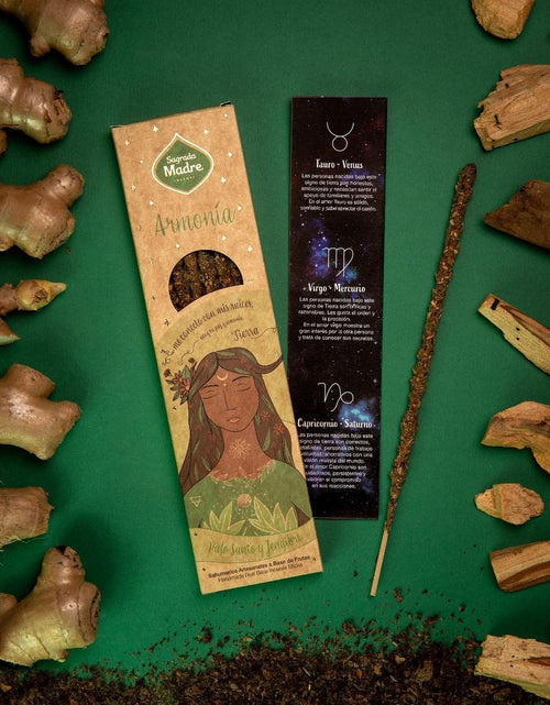 Load image into Gallery viewer, Elements Incense Collections
