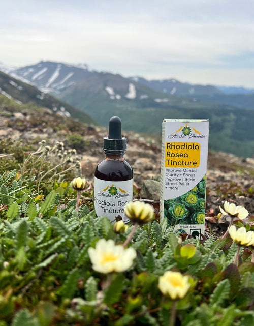Load image into Gallery viewer, Rhodiola Rosea Tincture – Natural Stress &amp; Energy Support (2 oz)
