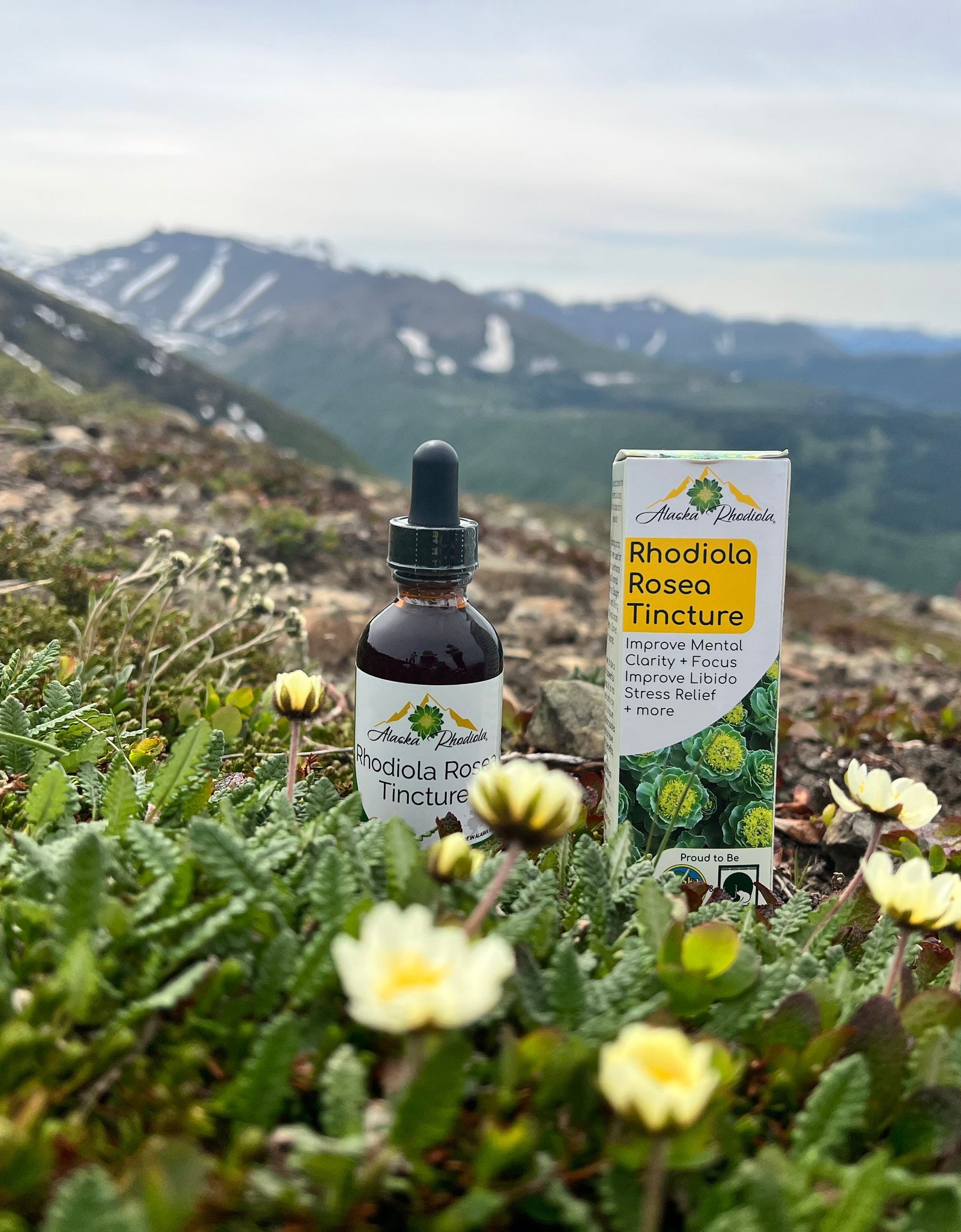 Rhodiola Rosea Tincture – Natural Stress & Energy Support (2 oz)