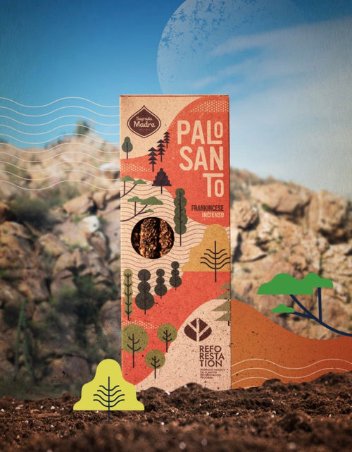 Load image into Gallery viewer, Pure Palo Santo Shorts Collection
