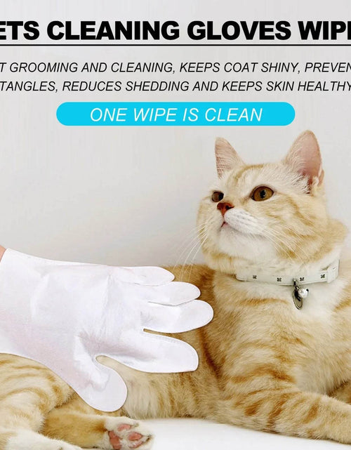 Load image into Gallery viewer, 2-in-1 Pet Gloves – Gentle Massage + Odor Elimination in One!
