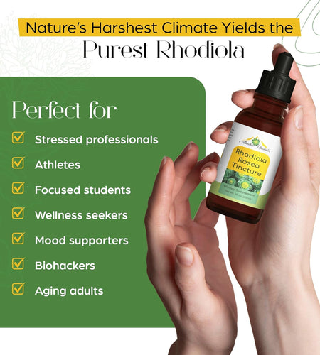 Rhodiola Rosea Tincture – Natural Stress & Energy Support (2 oz)