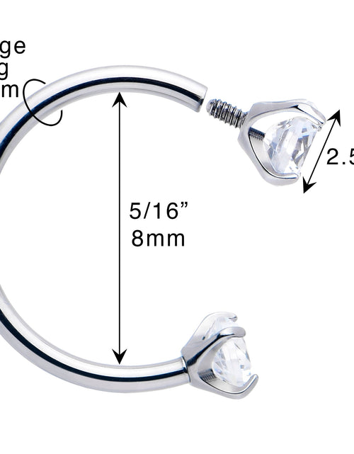 Load image into Gallery viewer, Double Gem Horseshoe Nose Ring Kit with Ball Grabber
