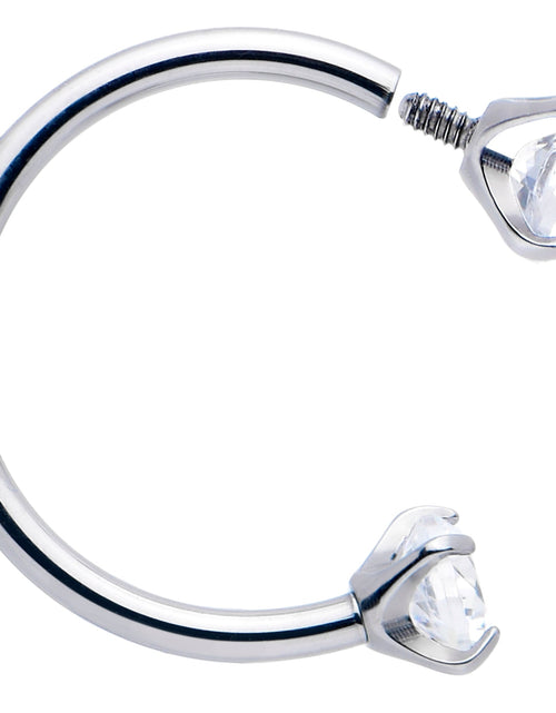 Load image into Gallery viewer, Double Gem Horseshoe Nose Ring Kit with Ball Grabber
