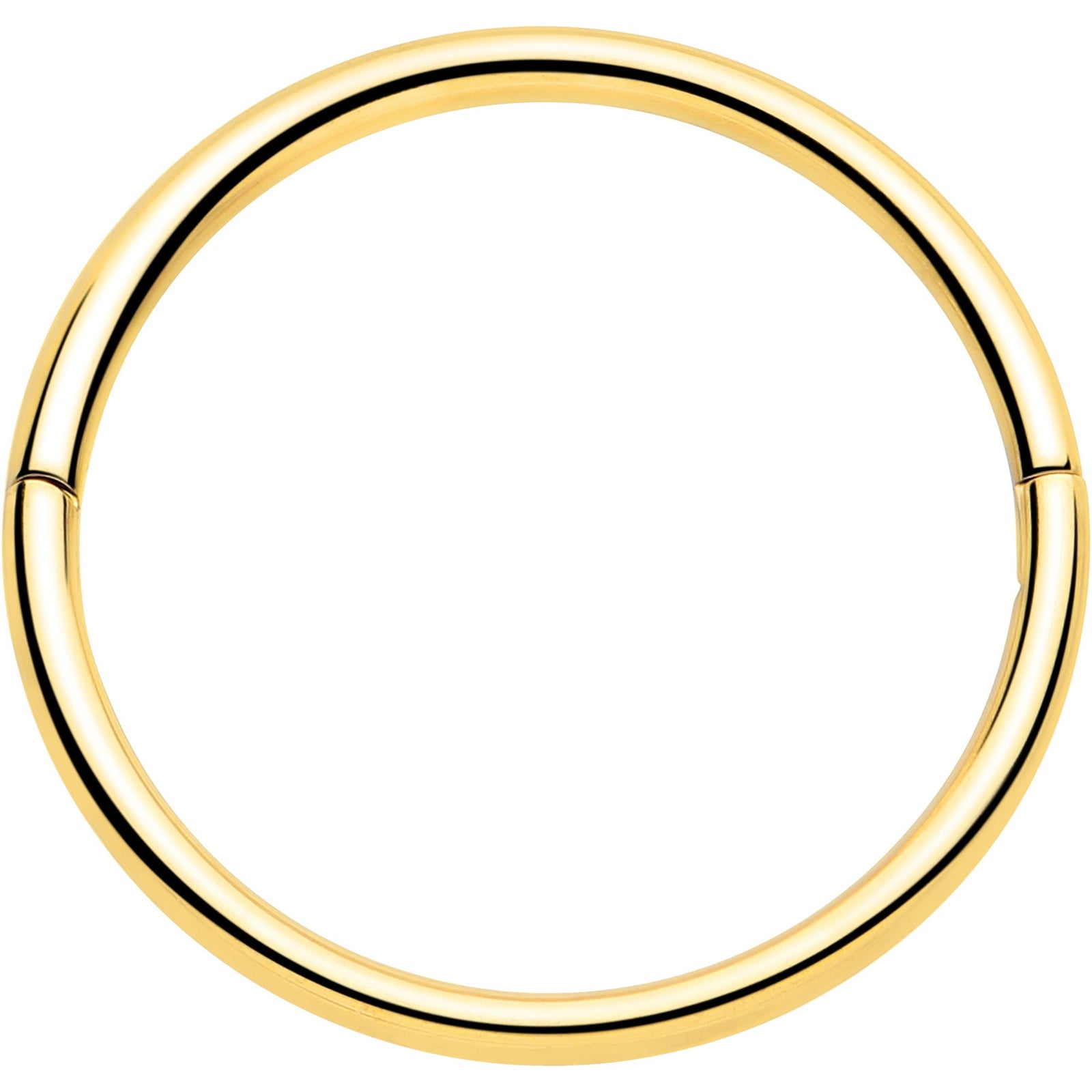 20G Implant Grade Titanium Half Closure Hinged Segment Ring