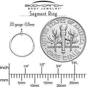 Load image into Gallery viewer, 20G Implant Grade Titanium Half Closure Hinged Segment Ring
