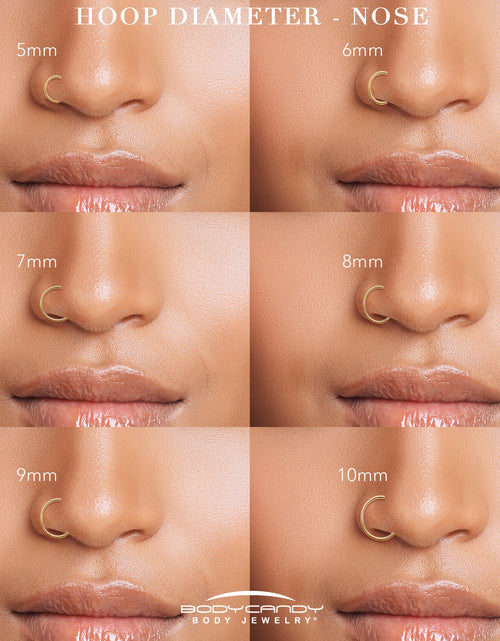 Load image into Gallery viewer, Single Row Micro Gem Implant Grade Titanium Hinged Double Hoop Nose Ring
