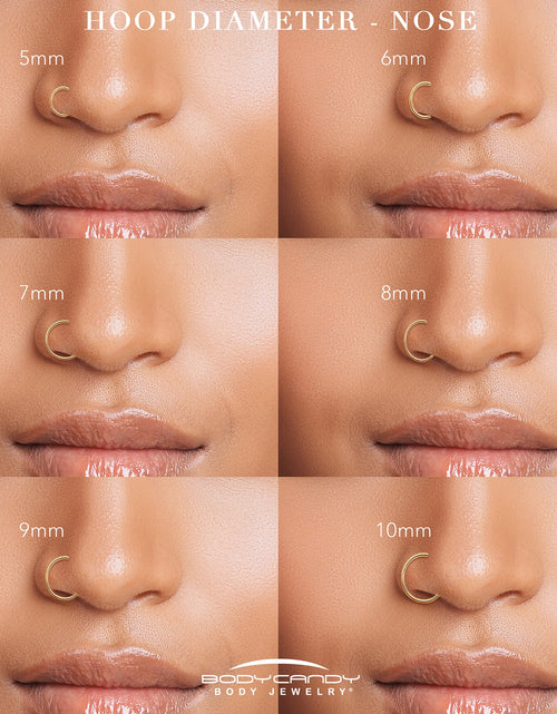 Load image into Gallery viewer, 18G Double Row Micro Gem Implant Grade Titanium Hinged Double Hoop Nose Ring
