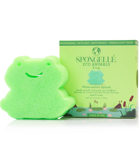 Frog | Eco Animals Kids Buffer