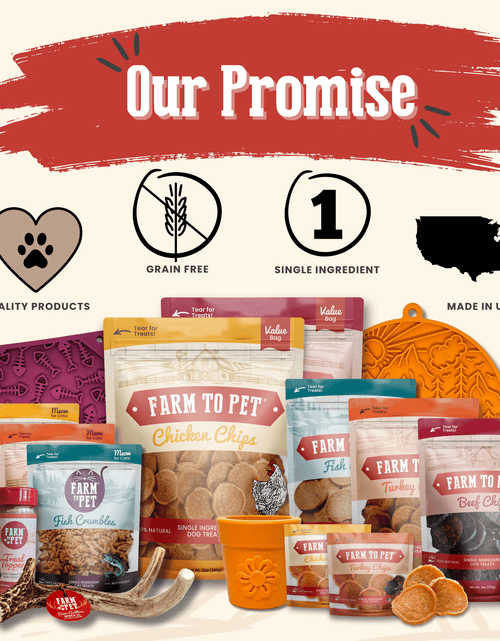 Load image into Gallery viewer, Chicken Chips for Dogs | All-Natural Single-Ingredient Dog Treats
