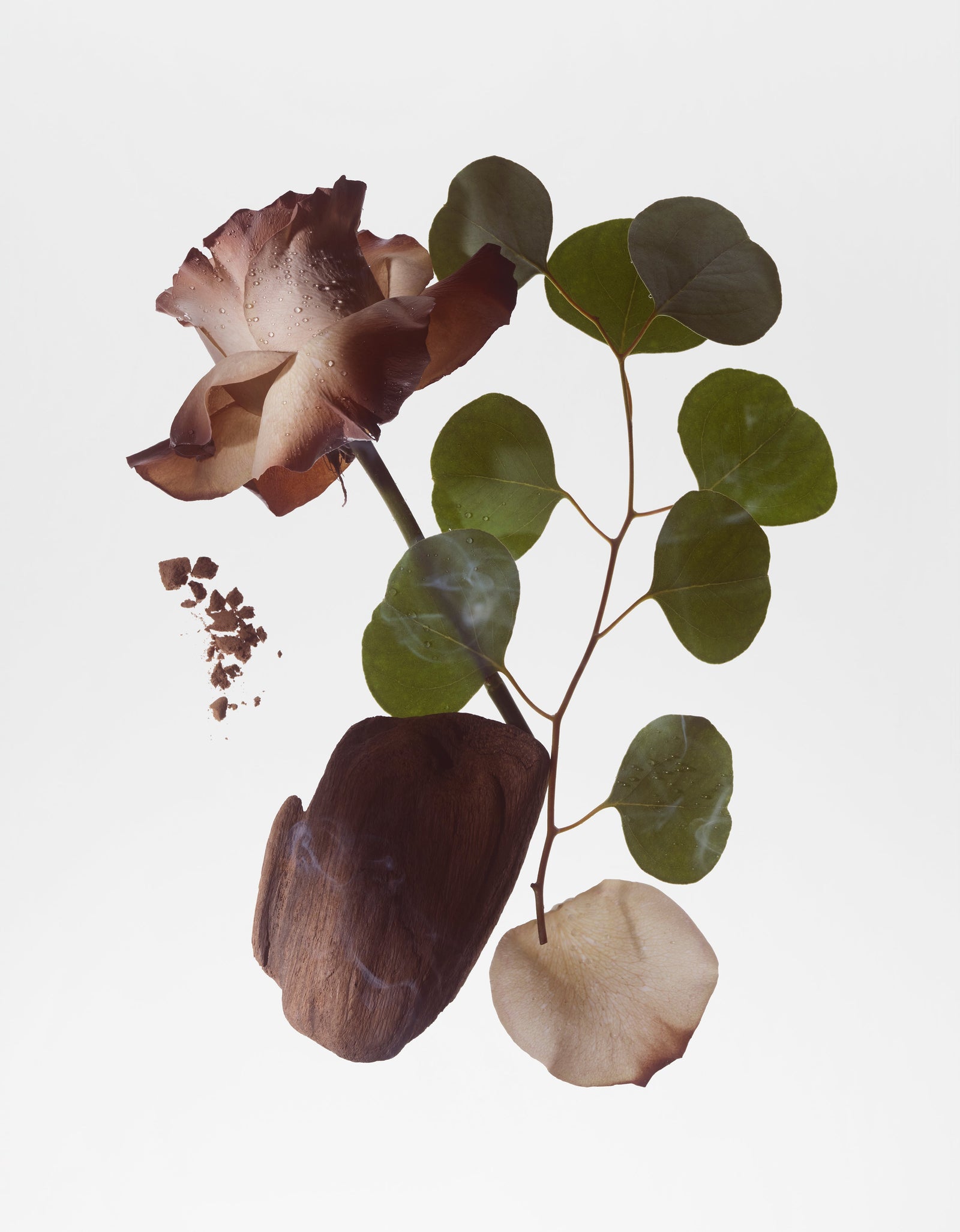 BODY FRAGRANCE  - SMOKED ORRIS