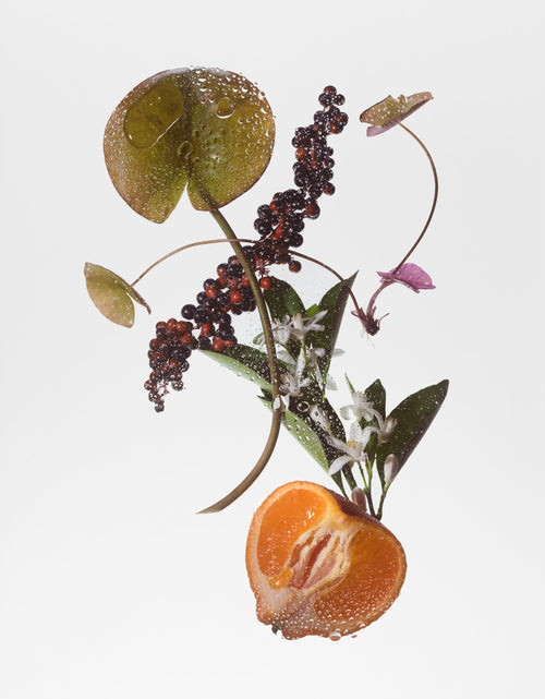 Load image into Gallery viewer, BODY FRAGRANCE- SUEDE MUSK
