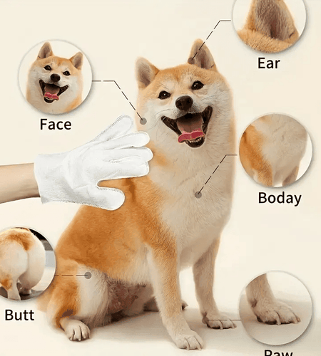 2-in-1 Pet Gloves – Gentle Massage + Odor Elimination in One!