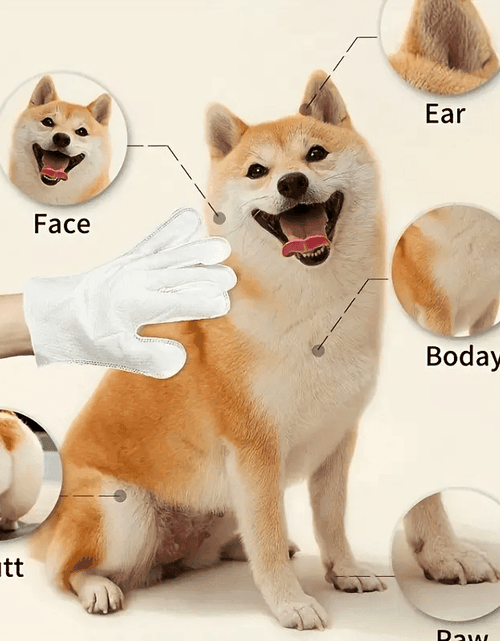 Load image into Gallery viewer, 2-in-1 Pet Gloves – Gentle Massage + Odor Elimination in One!
