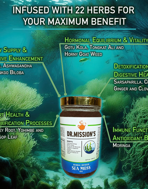 Load image into Gallery viewer, Dr. Mission Sea Moss Gel
