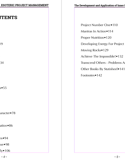 Load image into Gallery viewer, e-Book. Esoteric Project Management: the Development and Application of Inner Power in Management
